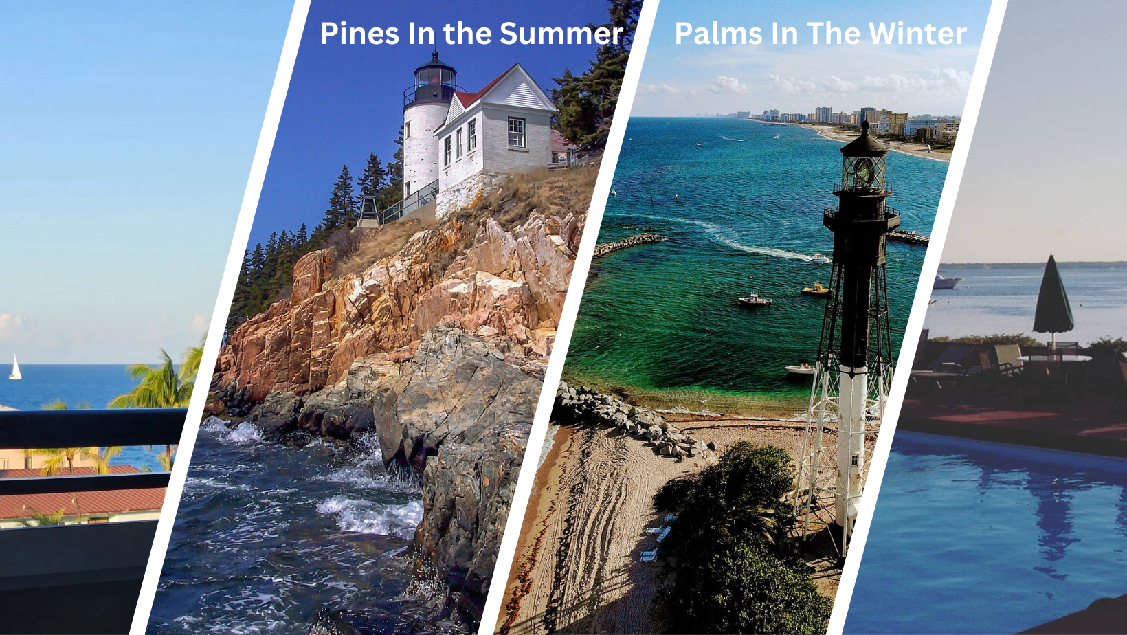 Super Seasonal Secrets From A Leading Director